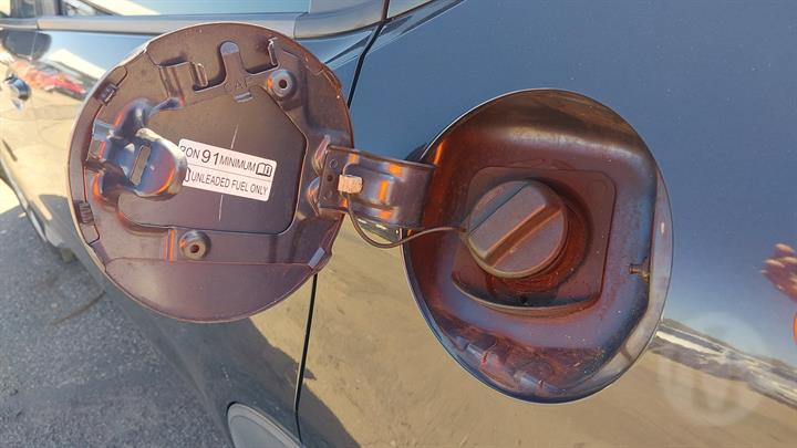 Lazy Owl Image