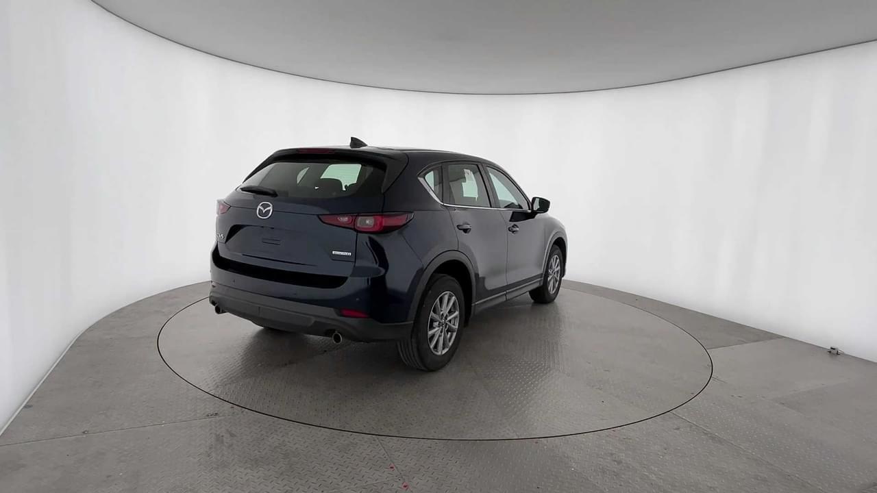 Lazy Owl Image