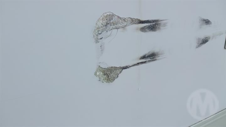 Lazy Owl Image