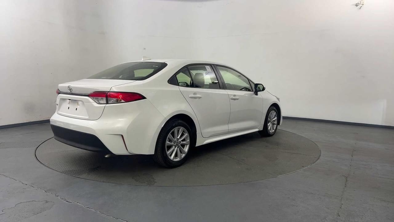 Lazy Owl Image