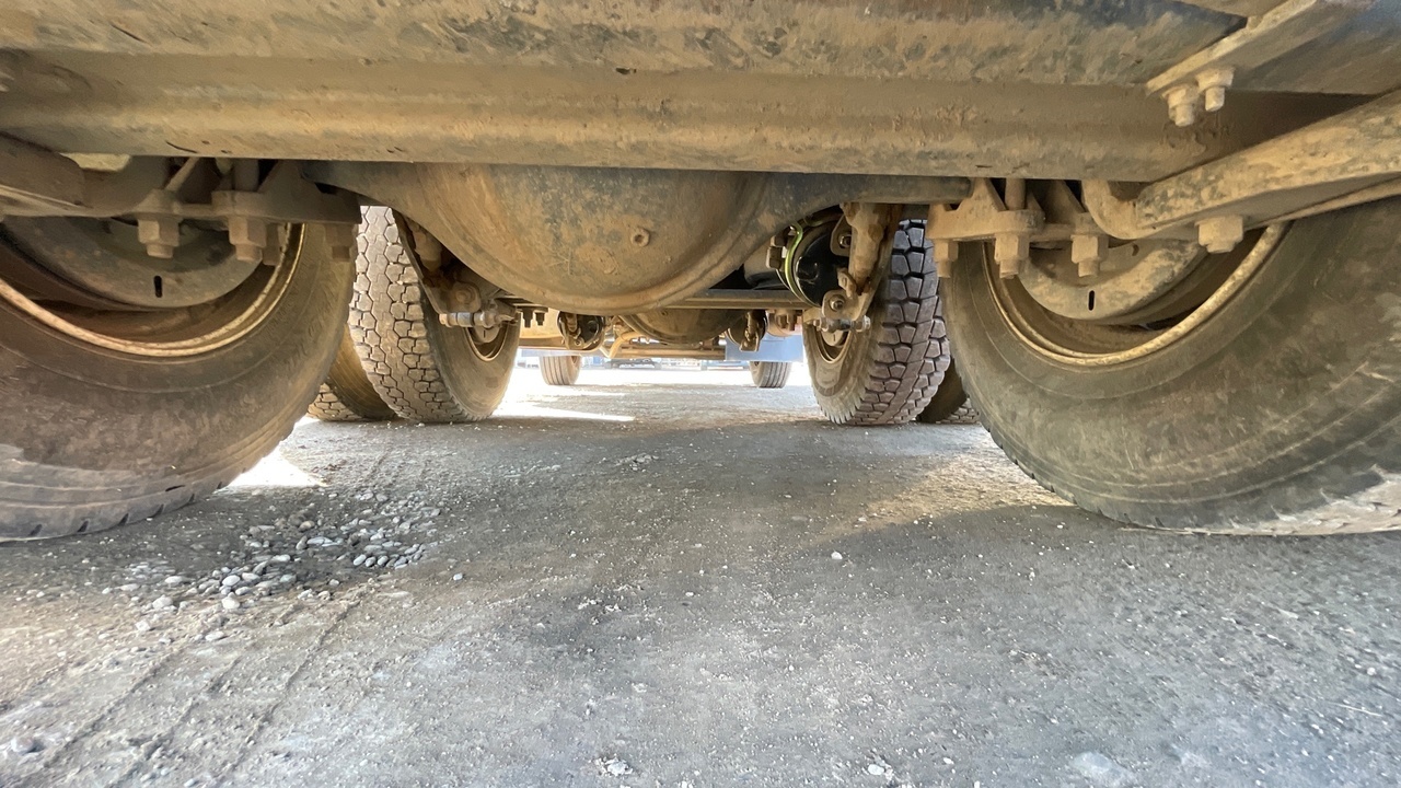 Lazy Owl Image
