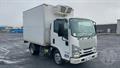 Lazy Owl Image