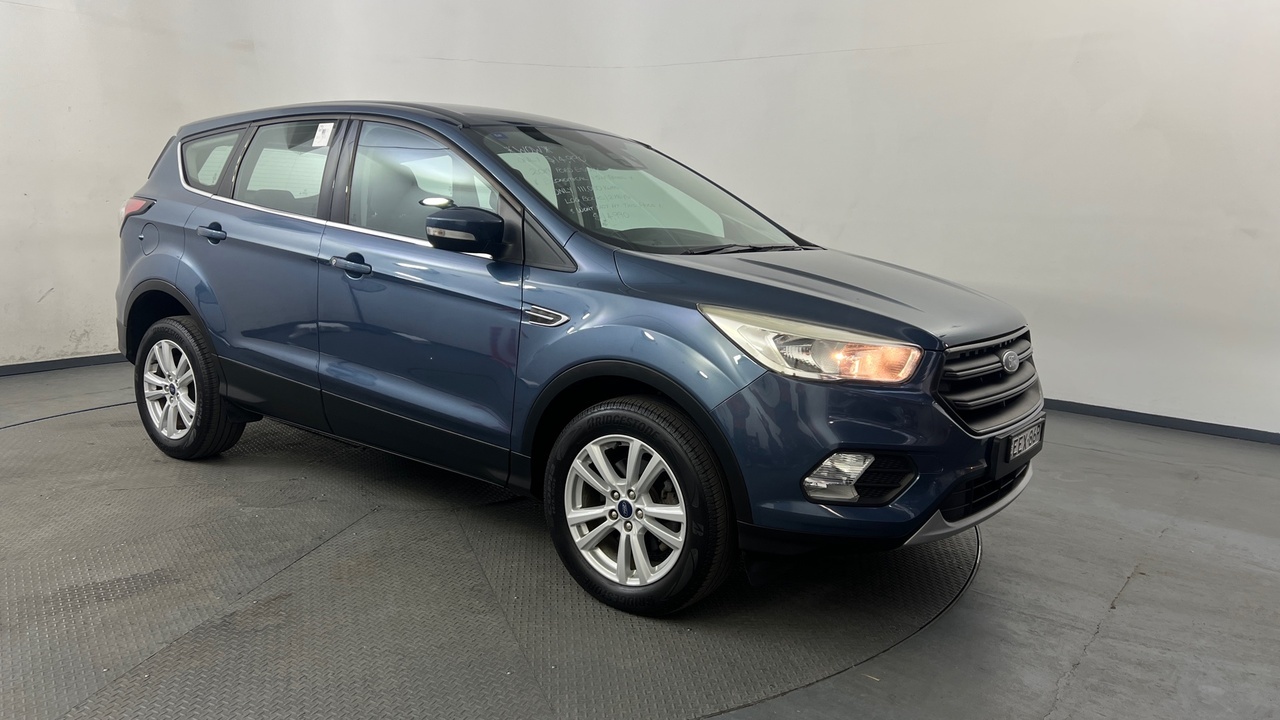 Lazy Owl Image
