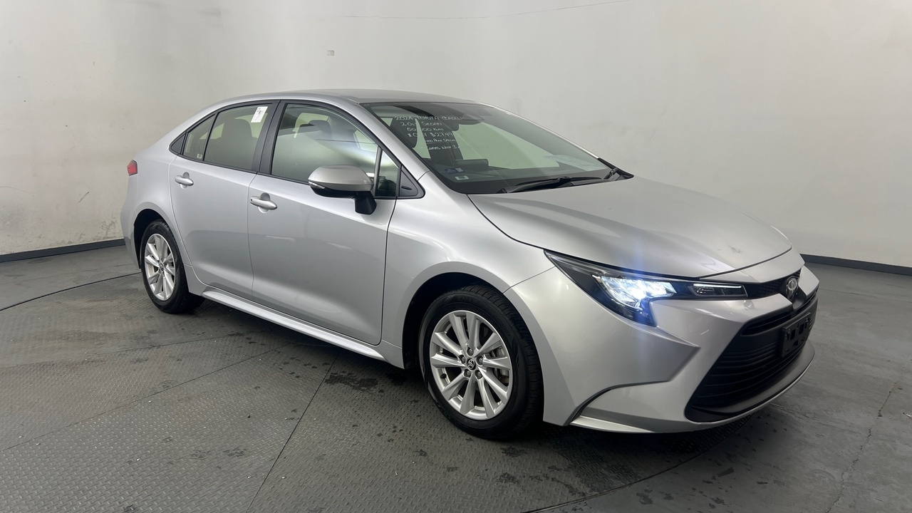 Lazy Owl Image