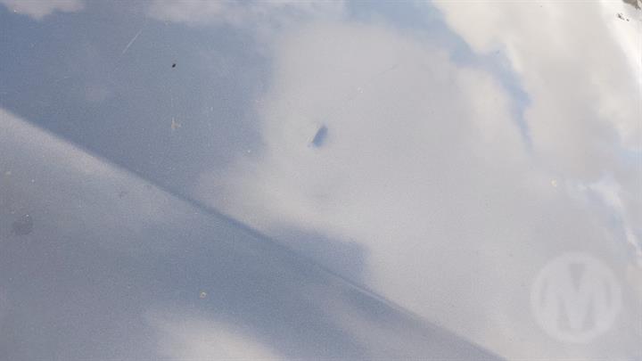 Lazy Owl Image