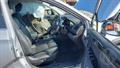 Lazy Owl Image