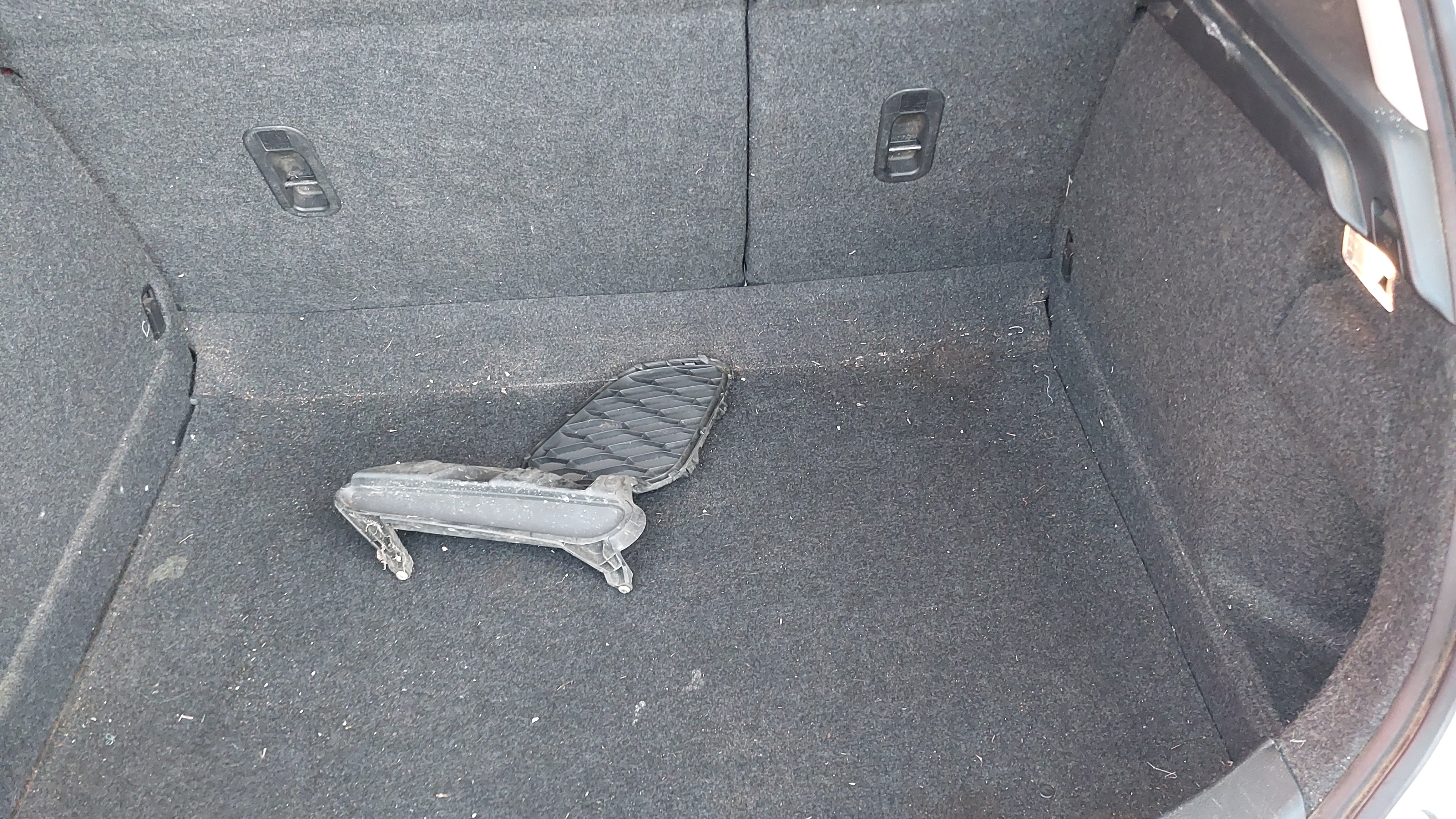 Lazy Owl Image