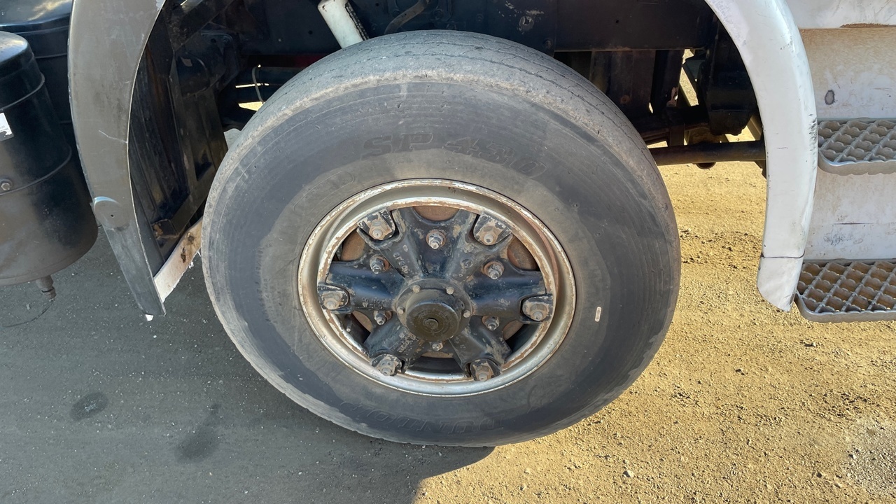 Lazy Owl Image