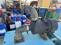 Lazy Owl Image