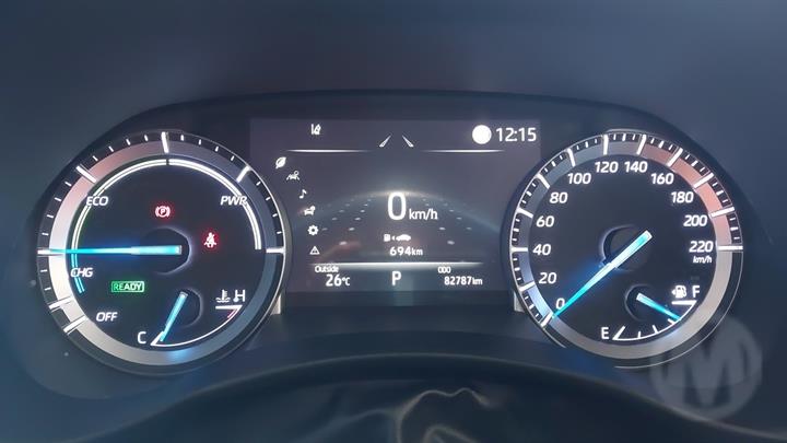 Lazy Owl Image