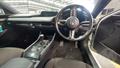 Lazy Owl Image