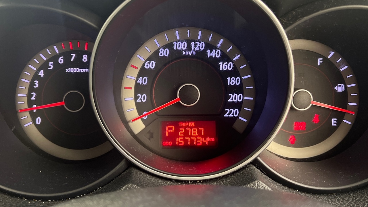 Lazy Owl Image