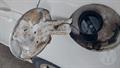 Lazy Owl Image