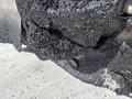 Lazy Owl Image