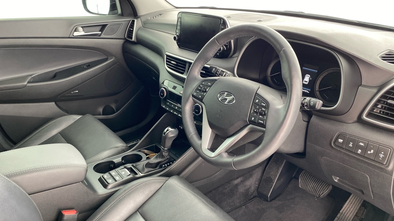 Lazy Owl Image