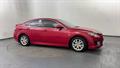Lazy Owl Image