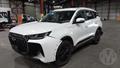 Lazy Owl Image
