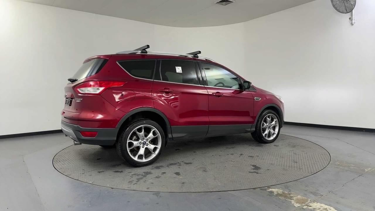 Lazy Owl Image