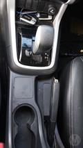 Lazy Owl Image