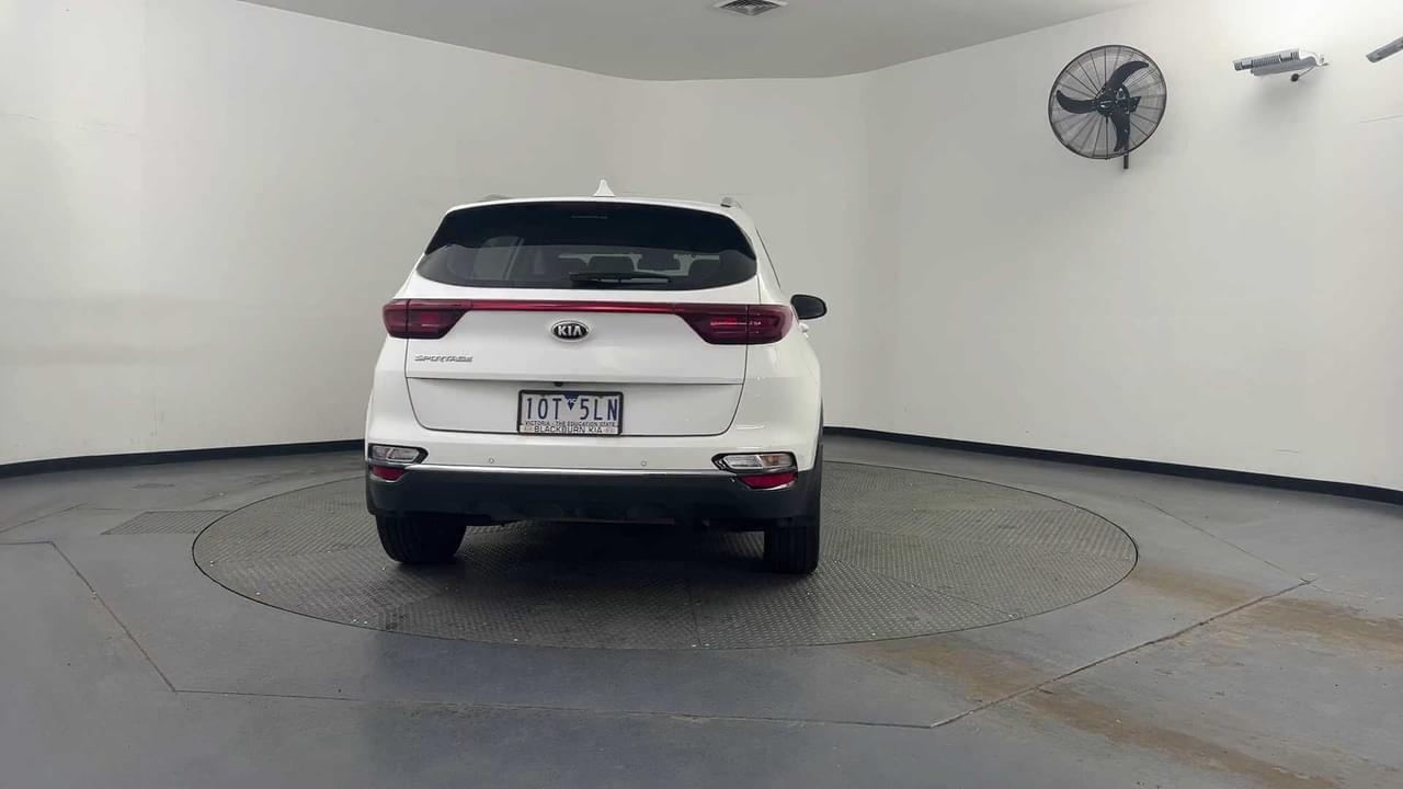 Lazy Owl Image