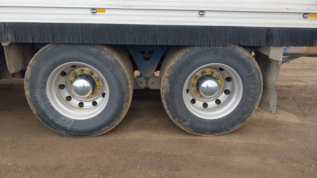 Lazy Owl Image
