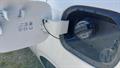 Lazy Owl Image