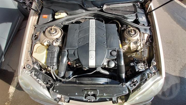Lazy Owl Image