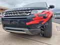 Lazy Owl Image