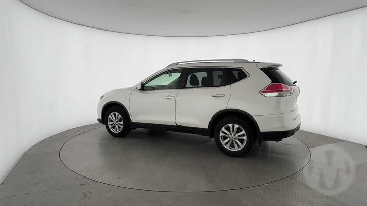Lazy Owl Image