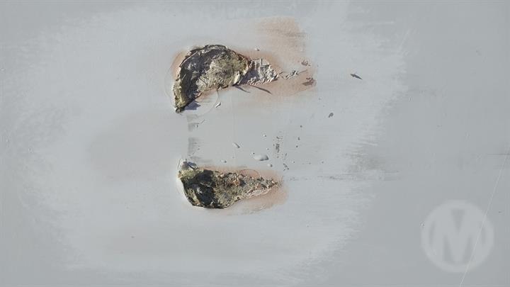 Lazy Owl Image