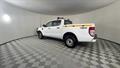 Lazy Owl Image