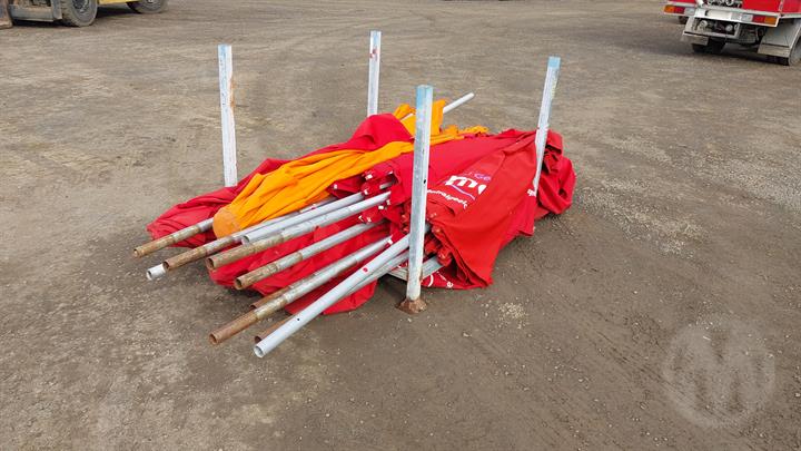 Lazy Owl Image