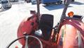 Lazy Owl Image