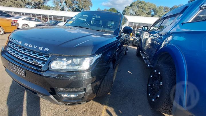 Lazy Owl Image