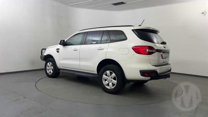 Lazy Owl Image
