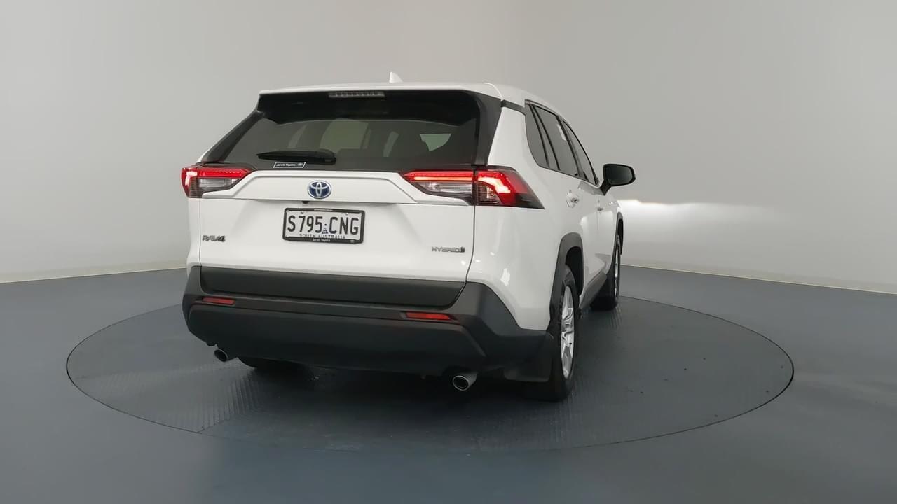 Lazy Owl Image