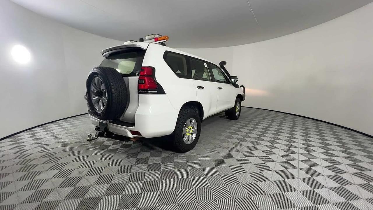 Lazy Owl Image