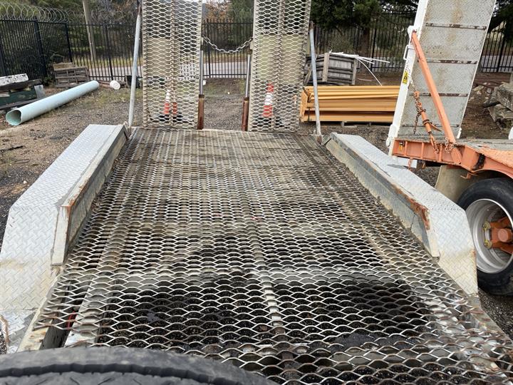 Lazy Owl Image