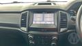 Lazy Owl Image