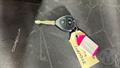 Lazy Owl Image