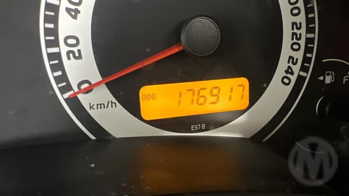Lazy Owl Image