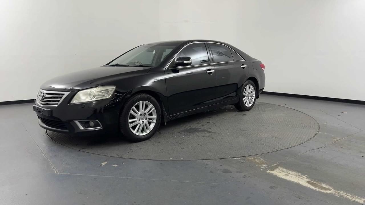 Lazy Owl Image