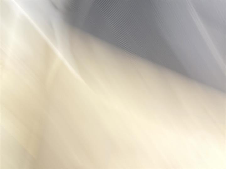 Lazy Owl Image