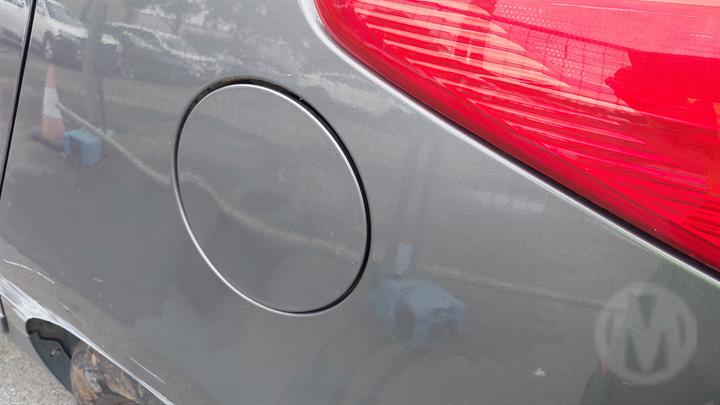 Lazy Owl Image