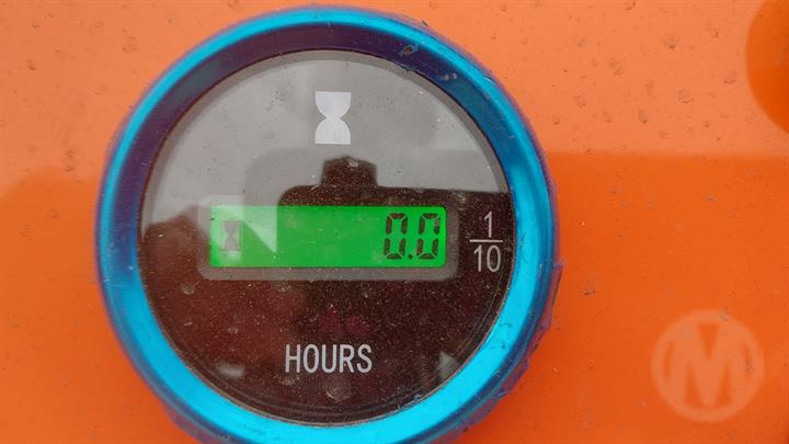 Lazy Owl Image