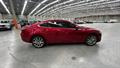 Lazy Owl Image