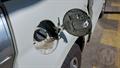Lazy Owl Image