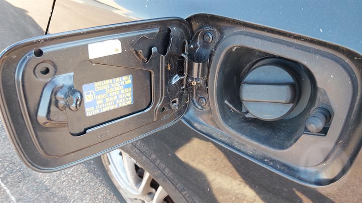 Lazy Owl Image