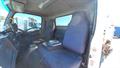 Lazy Owl Image
