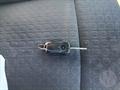 Lazy Owl Image